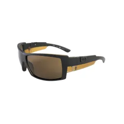 Comprar lentes de sol Big Ben Marron Polarizado