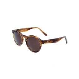 Precio. Comprar lentes de sol 360 Gatwick A Marron