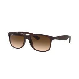 Anteojos de Sol Ray Ban Andy 4202 607313 55