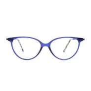 Armazon y Anteojos Rusty Votiv azul