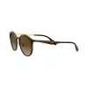 Comprar Anteojos Ray Ban 4277 710T5 51 Marron Polarizado Comprar Anteojos Ray Ban 4277 710T5 51 Marron Polarizado