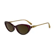 Anteojos de Sol Paula Cahen Danvers Cheverny 4 Polarizado
