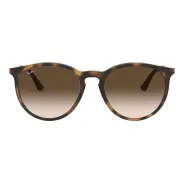 Anteojos de Sol Ray Ban 4274 856 13 53 Marron