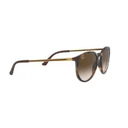 Anteojos de Sol Ray Ban 4274 856 13 53 Marron