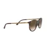 Anteojos de Sol Ray Ban 4274 856 13 53 Marron