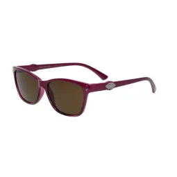 Comprar anteojos Elizabeth Arden Jazmin 4 Polarizado