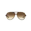 Comprar Anteojos Ray Ban 4125 Cats 5000 710 51 Marron