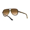 Comprar Anteojos Ray Ban 4125 Cats 5000 710 51 Marron