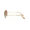 Comprar Anteojos Ray Ban 3689 9064 47 62 Marron Polarizado
