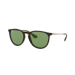 Anteojos de Sol Ray Ban 4171 Erika 63932 lentes verde, marco carey