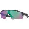 Anteojos de Sol Oakley Oakley 9208 A1 Radar ev Path Prizm Road