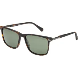 Lentes de Sol Wrangler 6179 Carey 2 Polarizado