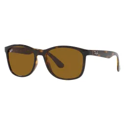 Anteojos de Sol Ray Ban 4374 71033 56 Marron