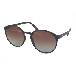 Lentes de Sol Max Polar Elite Marron 3