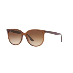 Ray Ban 4378 667113 Marron