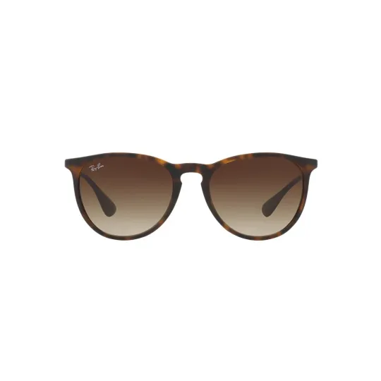 Anteojos de Sol Ray Ban Erika