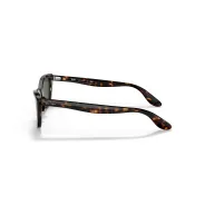 Anteojos de Sol Ray Ban 2299 902/31 55 lady Burbank Carey