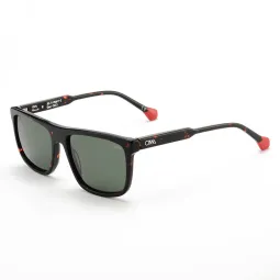 Cima Playful 3 542 20022 Polarizado