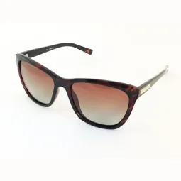 Lentes de Sol Max Polar Usual Marron
