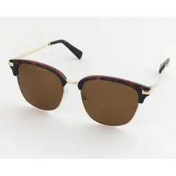 Lentes de Sol Max Polar glow 4 Marron
