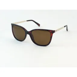 Lentes de Sol Max Polar Sun 6 marron